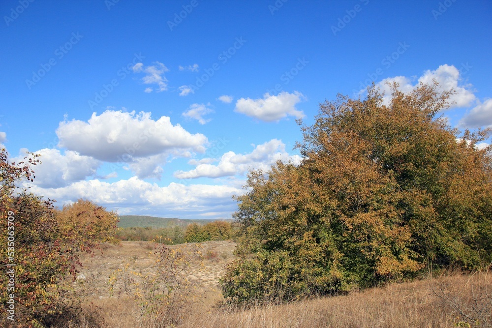 Autumn in the area 