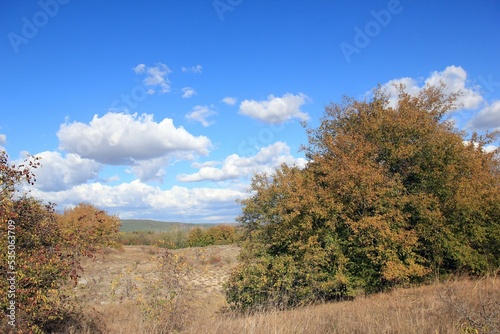 Autumn in the area "Pobiti Kamani" (Bulgaria) 