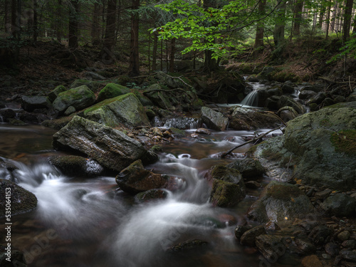 Fototapeta Naklejka Na Ścianę i Meble -  Rzeka Wilczka, górska rzeka w Sudetach, las na zboczach Śnieżnika, Międzygórze