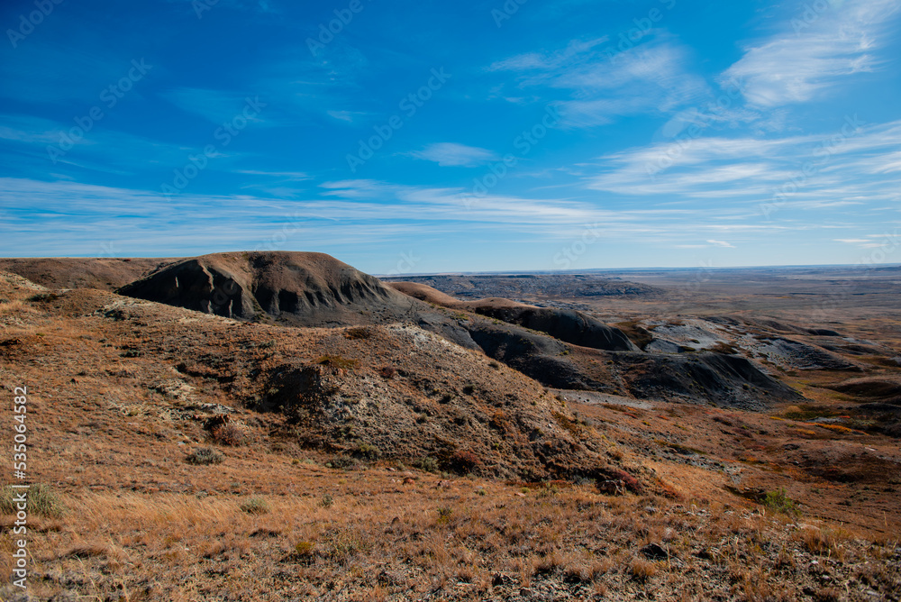 Fototapeta premium landscape with sky and clouds