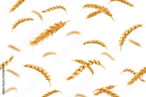 Falling Wheat isolated on white background, selective focus