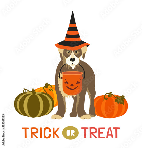 Dog in witch hat, Halloween candy bucket, pumpkins isolated vector. Dog pet, pumpkin cartoon design element illustration. Happy Halloween scary night party celebration Trick or treat fun background