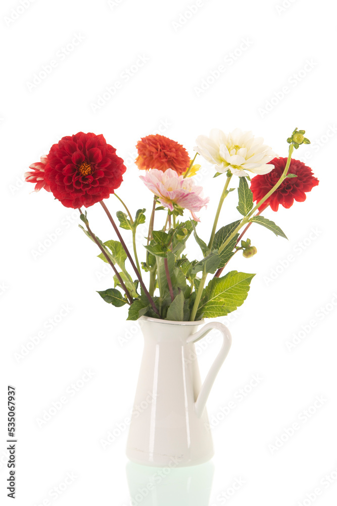 Dahlias in vase