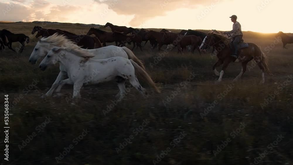 Horses move slowly against the background of the setting sun. A herd of horses running across the steppe against the background of mountains. Horses move slowly against the background of the setting sun. A herd of horses running across the steppe against the background of mountains.