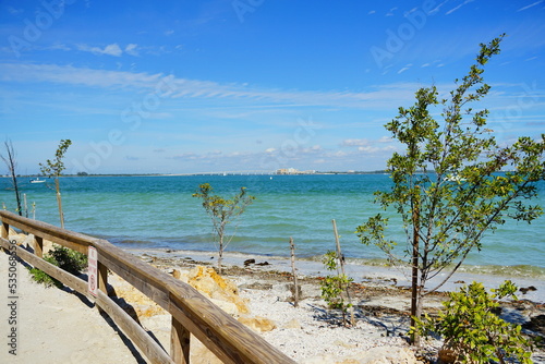Fototapeta Naklejka Na Ścianę i Meble -  Clear water of Sanibel island in Florida, USA