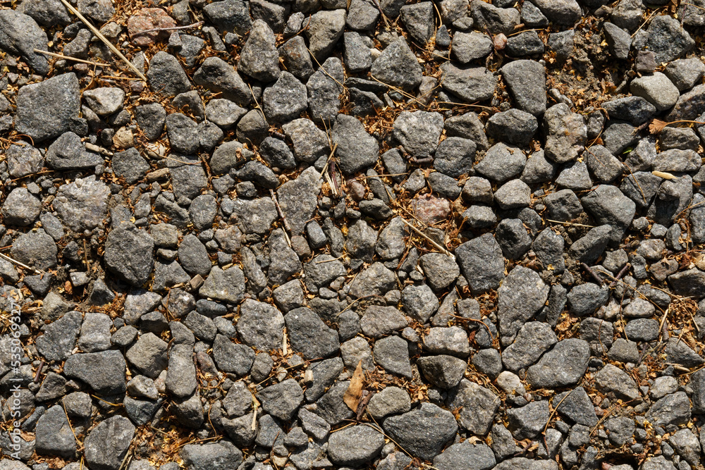 Gravel road texture. Gravel and fallen leaves Gravel road texture. Gravel and fallen leaves