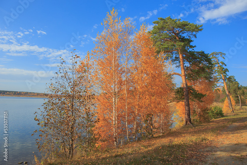 Beautiful lake shore with trees in autumn