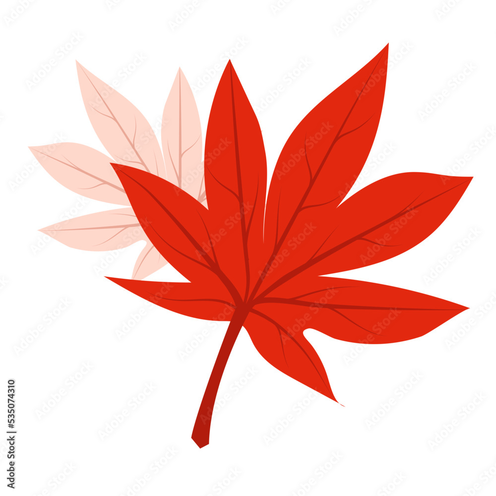 leaves, leaf, floral, decor, botany leaves, leaf, floral, decor, botany