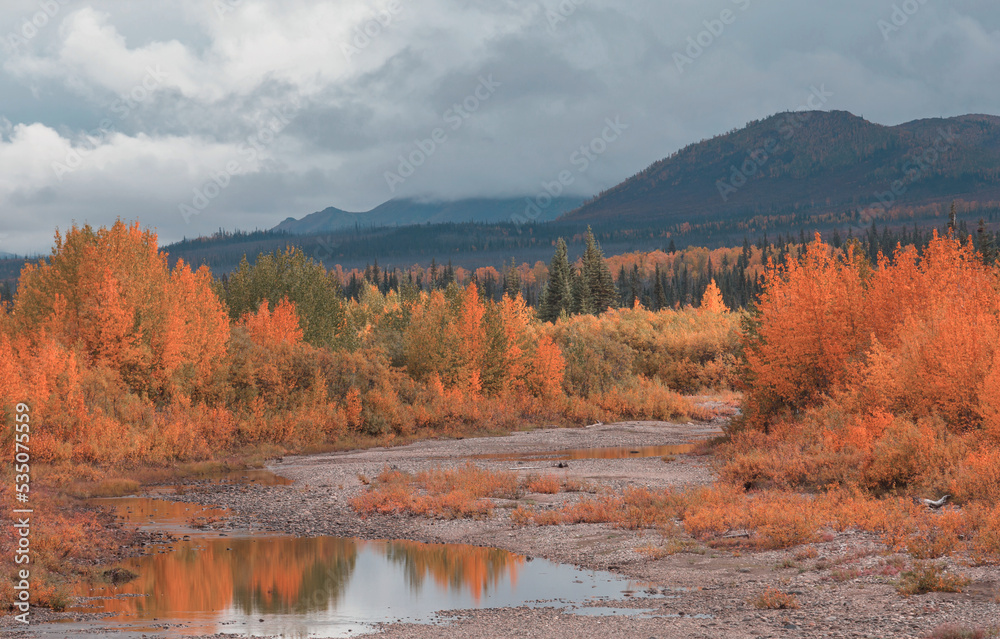 Fototapeta premium Autumn in Alaska