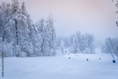Winter Mountain landscape at the Rosa Khutor ski resort in Sochi, Russia. Trees in hoarfrost in a frosty morning.