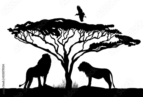 Silhouette of lions under a tree. Vector illustration photo