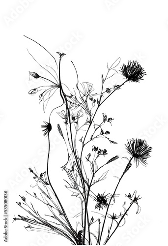 Wild flowers - drawing