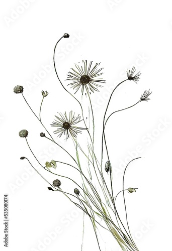 Wild flowers - drawing