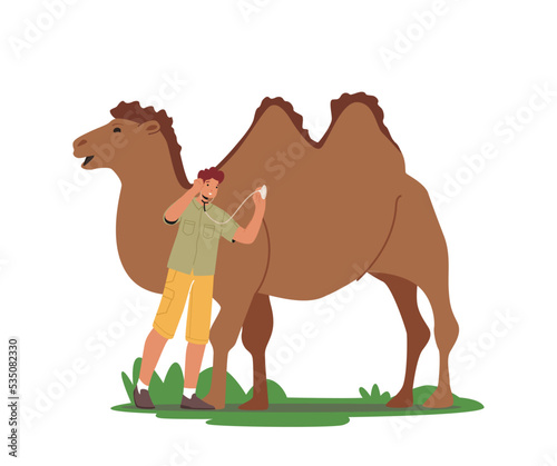 Zoologist Male Character Listen Heart Of Camel With Stethoscope. Veterinarian Doctor Care and Observe Animals