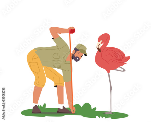 Zoo Worker Or Veterinarian Examining And Measuring Flamingo, Professional Zookeeper Ornithologist Scientist Character