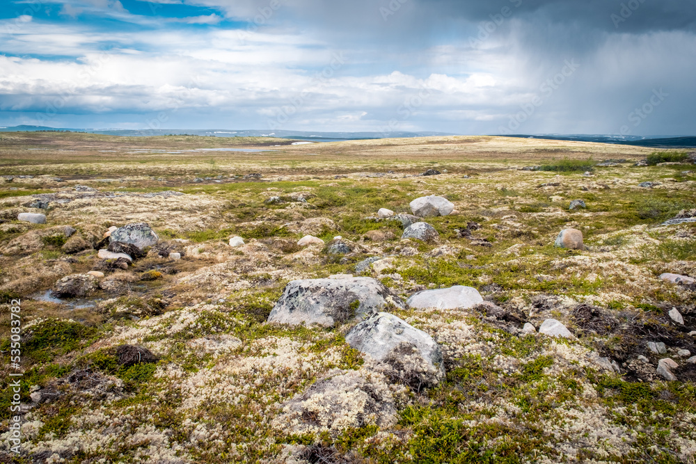 Summer landscape of the green polar tundra with boulders in the foreground and lake on the horizon. Northern nature in the vicinity Teriberka (Kola Peninsula, Russia)