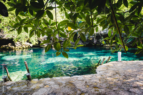 Beautiful mexican Cenote Cristalino with turquoise water and jungle plants photo