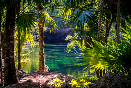 Landscape in the Mexican jungle. Beautiful mexican Jardin Del Eden Cenote with turquoise water and jungle plants © Alexey Oblov