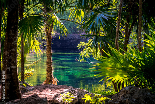 Landscape in the Mexican jungle. Beautiful mexican Jardin Del Eden Cenote with turquoise water and jungle plants