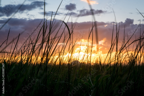 Fiery sunset on the lake in Karelia. Silhouettes of grass and branches against the background of the evening sky