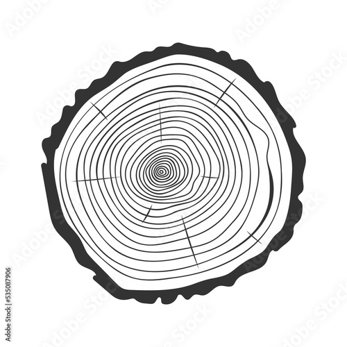 Tree rings icon. Trunk cross section outline texture. Dendrochronology method to determine tree age. Wooden surface doodle stamp isolated on white background. Vector hand drawn illustration