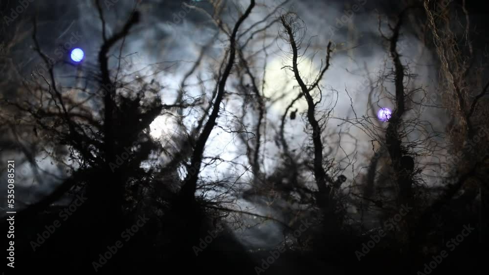 Spooky dark landscape showing silhouettes of trees in the swamp on misty night. Night mysterious forest in fire and dramatic cloudy night sky