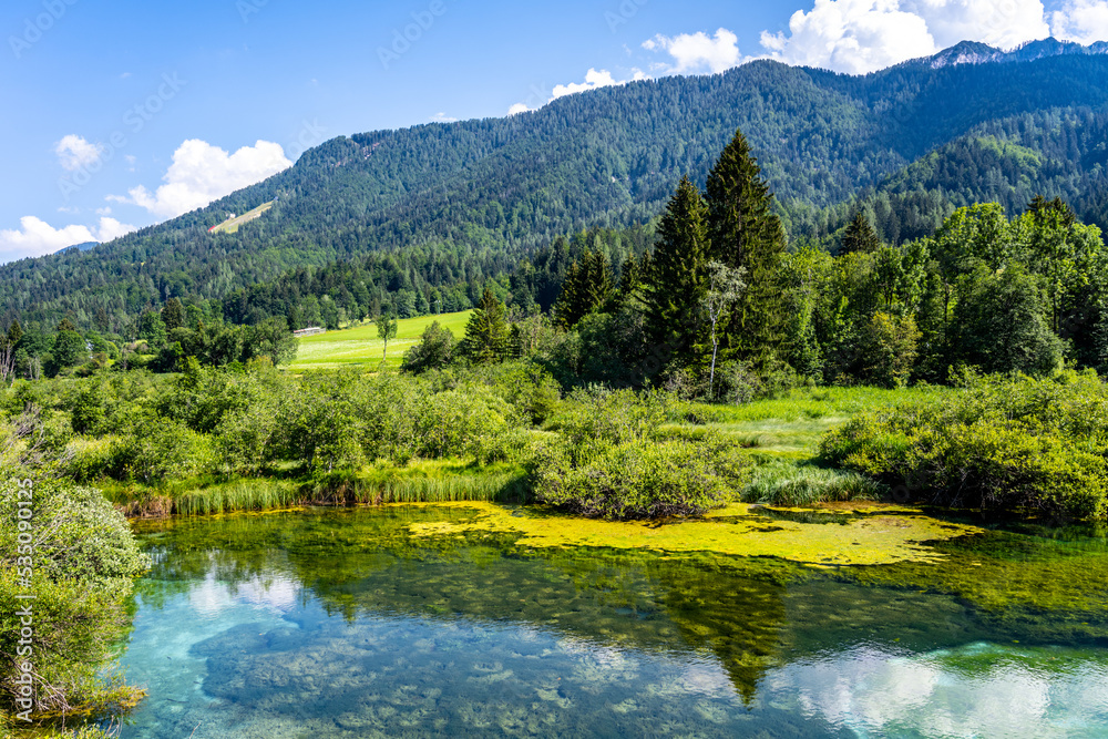 Zelenci - emerald-green lake in the mountains
