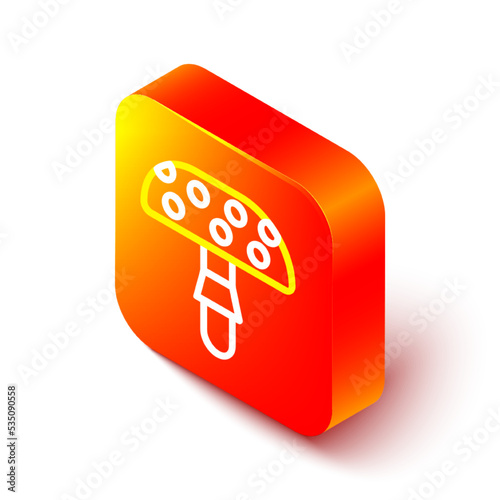 Isometric line Amanita muscaria or fly agaric hallucinogenic toadstool mushroom icon isolated on white background. Spotted poisonous mushroom. Orange square button. Vector