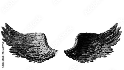 Metallic black wings under white lighting background. Concept 3D CG of free activity, decision without regret and strategic action. PNG file format.	