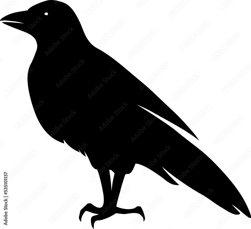 Fototapeta premium Raven bird. Vector black silhouette isolated on a white background
