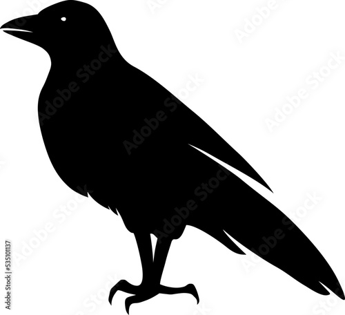 Raven bird. Vector black silhouette isolated on a white background