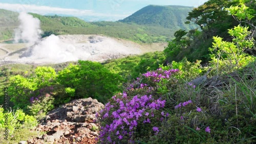 ミヤマキリシマが咲く硫黄山の自然風景 photo