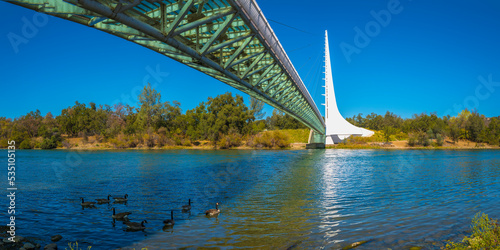 Canvas Print Wild animals and geese in Sacramento River in autumn, under Sundial Bridge in Re