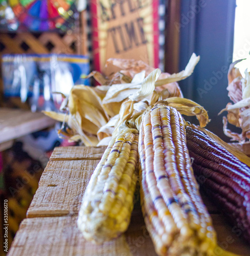 indian corn on the cob