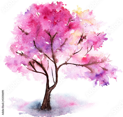 Watercolor single pink cherry sakura tree isolated art