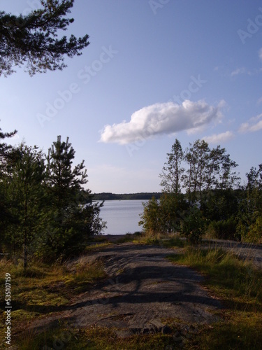 Fototapeta Naklejka Na Ścianę i Meble -  Naturschutzgebiet in Finnland, Kiefernwald und See