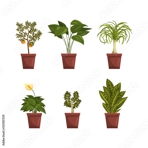 Set of decorative plants in pots. House or office plant interior design vector illustration