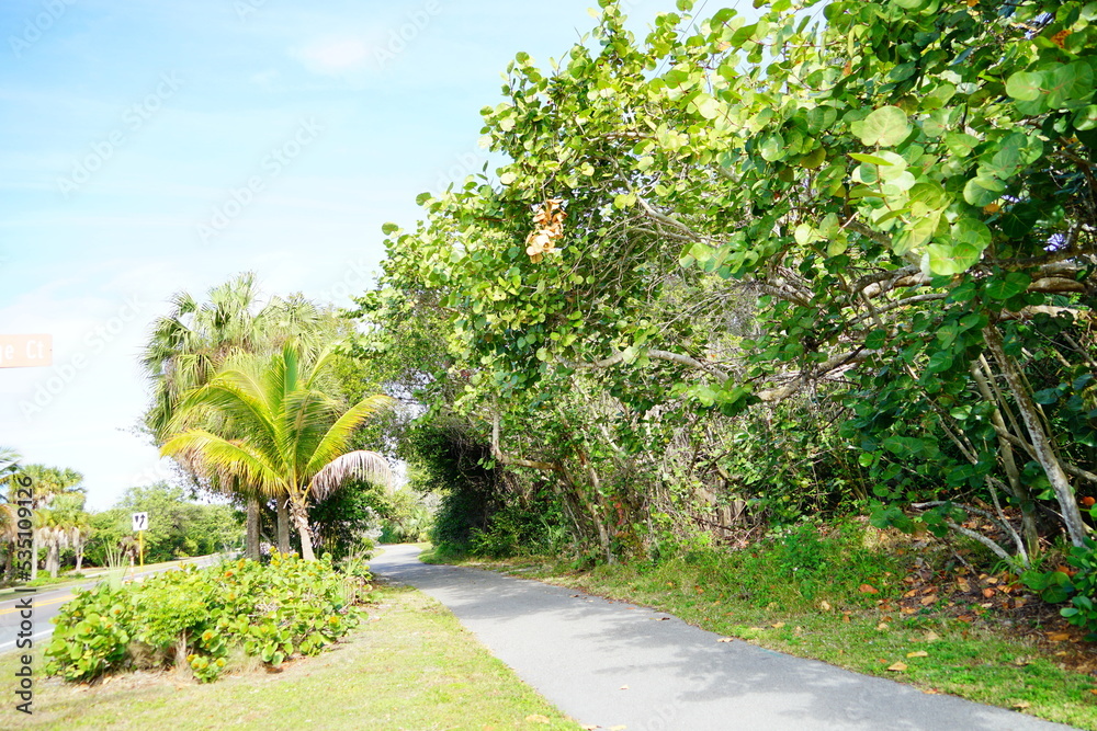 Beautiful Sanibel island beach in Fort Myers, Florida, USA