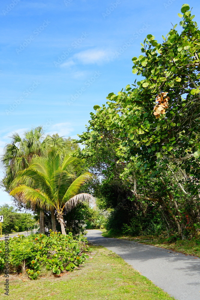 Beautiful Sanibel island beach in Fort Myers, Florida, USA Beautiful Sanibel island beach in Fort Myers, Florida, USA