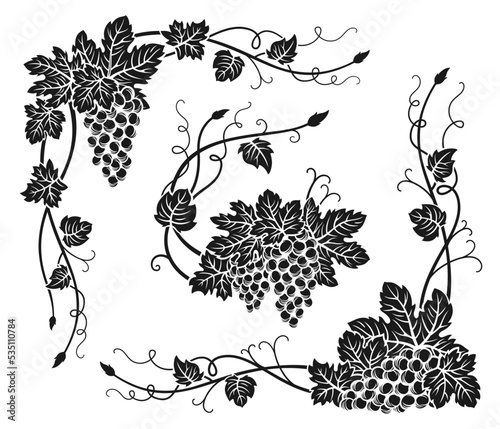 Grape vine corner bunches engraved set. Vintage hand drawn ink outline wine grapes border, floral berry frame. Decorative elements antique engraving design. Sketches for wine packing, menu, card,