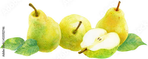 横に並んだ洋梨 洋梨の葉 黄緑の梨 黄色の梨 水彩画