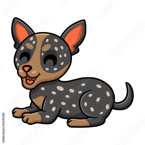 Cute australian cattle dog cartoon