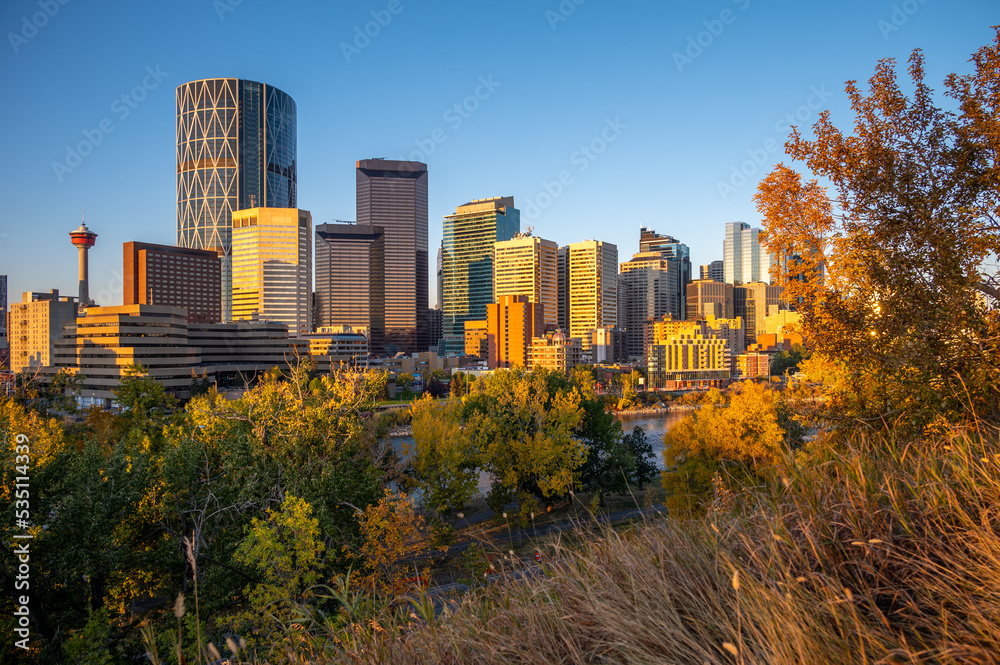 Obraz premium Calgary's beautiful skyline on early morning in the heart of autumn with fall colours on the trees.