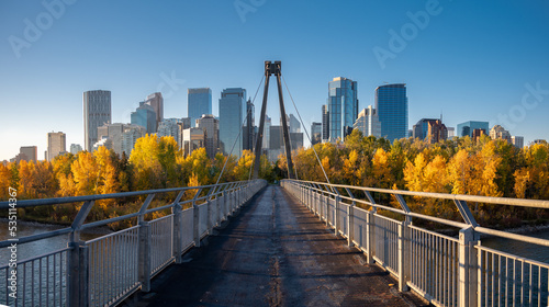 Fototapeta Naklejka Na Ścianę i Meble -  Calgary's beautiful skyline on early morning in the heart of autumn with fall colours on the trees.