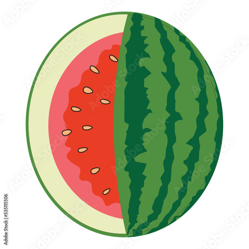 Red watermelon fruit vector illustration