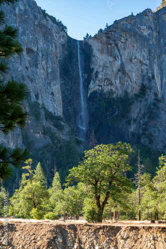 Early summer morning walk in Yosemite National Park, California