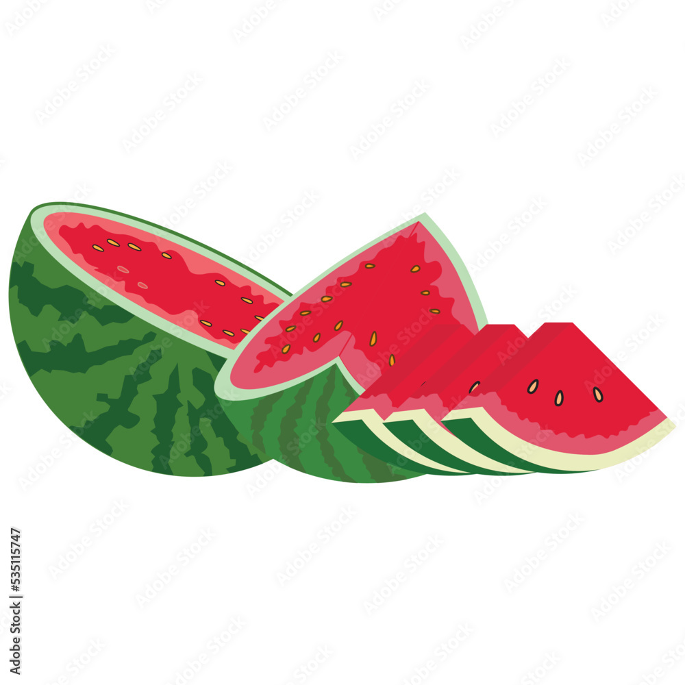 Red watermelon fruit vector illustration