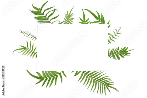 Fern leaves with copy space for text