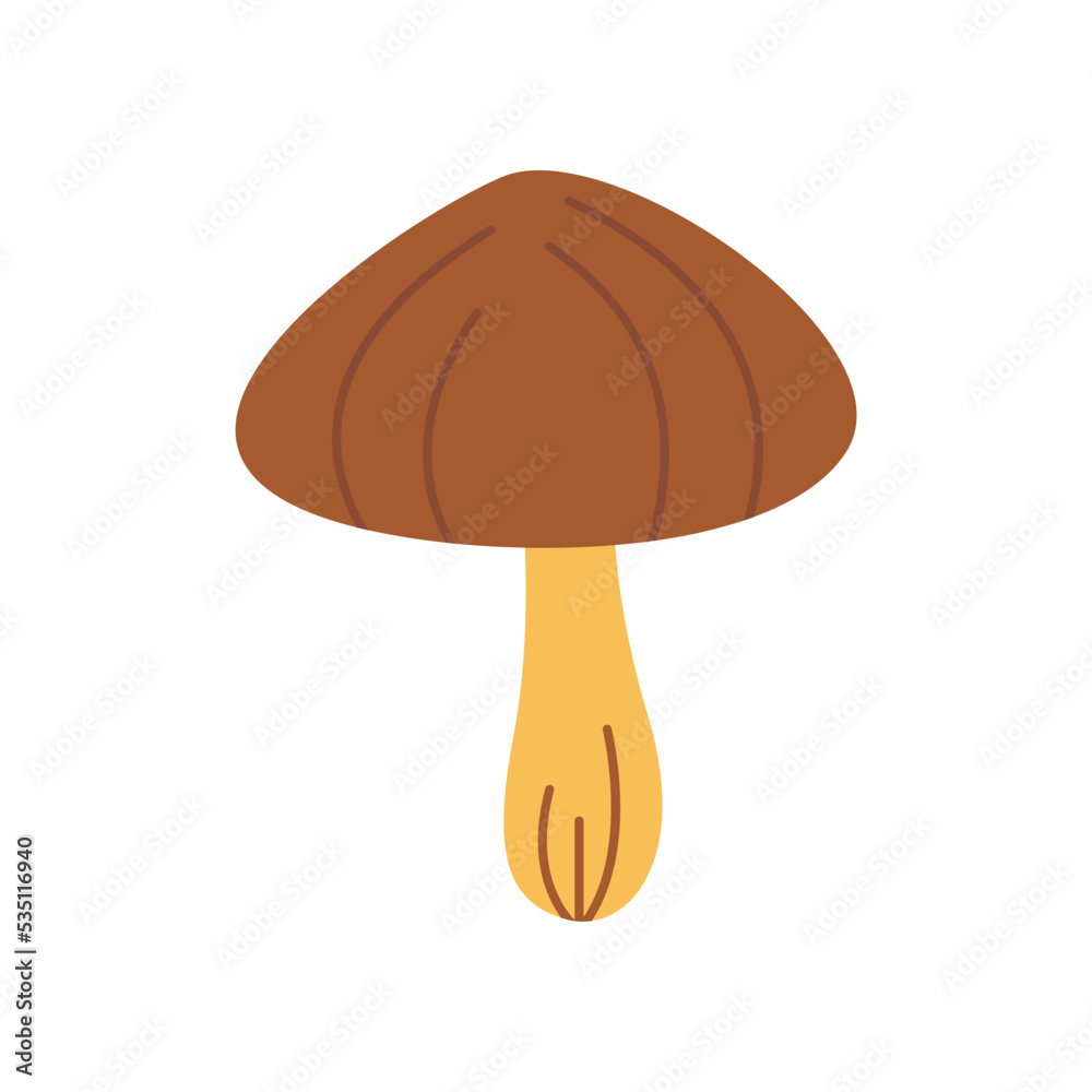Autumn Floral Mushroom Illustration