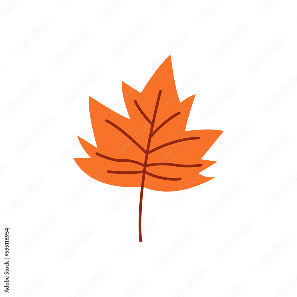 Fototapeta premium Autumn Maple Leaf Illustration